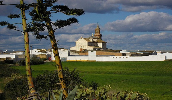manzanilla2.jpg_446088586