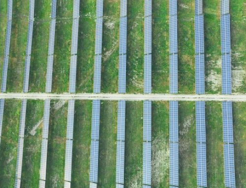 El Ente Vasco de la Energía y Solariak crean Indarberri, un proyecto de energía solar fotovoltaica