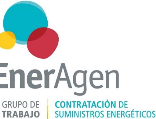 Red Eléctrica y EnerAgen desarrollan un dataHUB para la eficiencia y el ahorro energético en las administraciones
