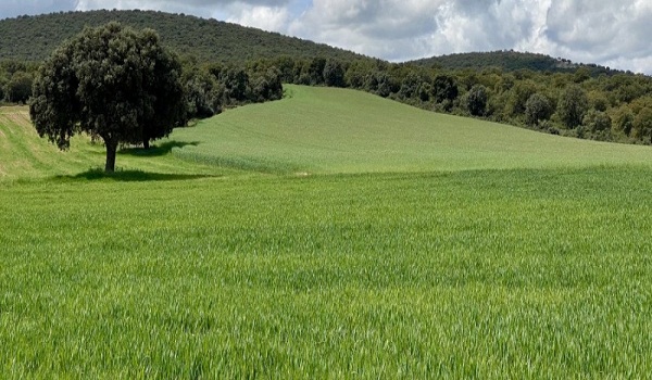 Paisaje provincia