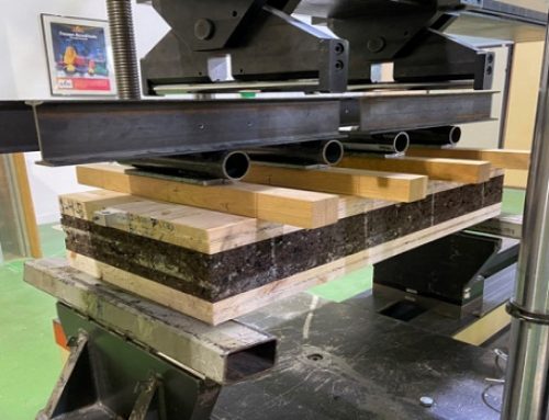 Madera y corcho como soluciones innovadoras para la construcción y rehabilitación de edificios públicos