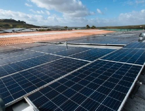 Ivace+i Energía apoya más de un centenar de proyectos de renovables térmicas en los sectores económicos de la Comunitat