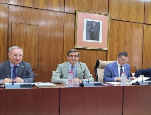 Andalucía resuelve casi el 80% de los fondos destinados a autoconsumo, movilidad y eficiencia energética