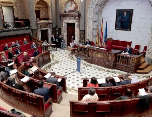 El Pleno ratifica la creación del nuevo organismo autónomo municipal València Sostenible