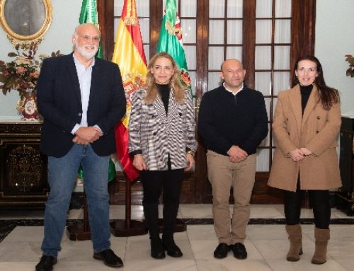 La Diputación de Cádiz favorece la instalación de placas fotovoltaicas para la soberanía energética de Alcalá del Valle