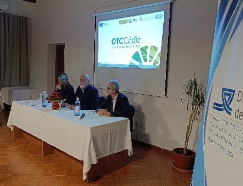 Una calculadora creada por la Diputación de Cádiz permite conocer el potencial solar de los tejados de la provincia