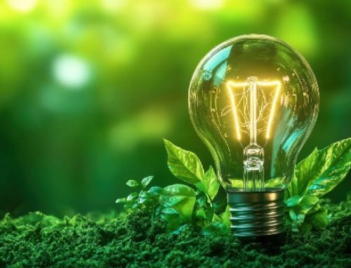 La Diputación de Gipuzkoa impulsa nuevas ayudas por valor de 850.000 euros para acelerar la transición energética y climática