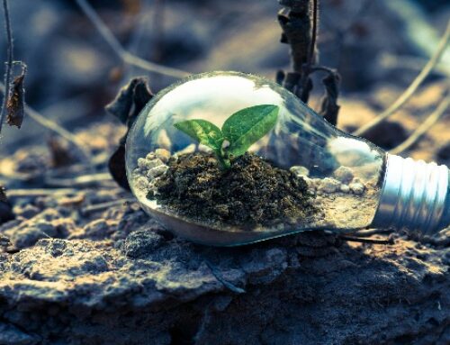 El Gobierno de Navarra aprueba una nueva hoja de ruta climática que integra también energía y transición justa