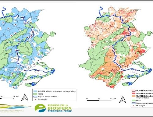 El COPATE exige una planificación renovable equilibrada en Terres de l’Ebre
